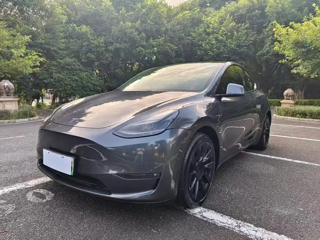Tesla Model Y 2021 — фото 1