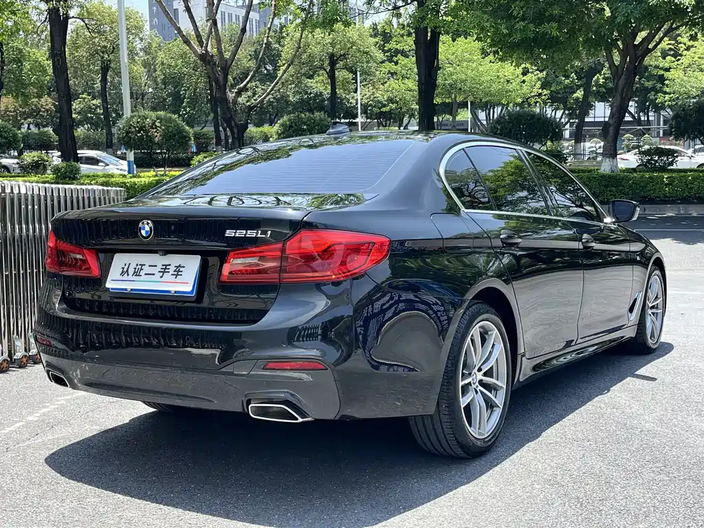 BMW 5 Series 2020