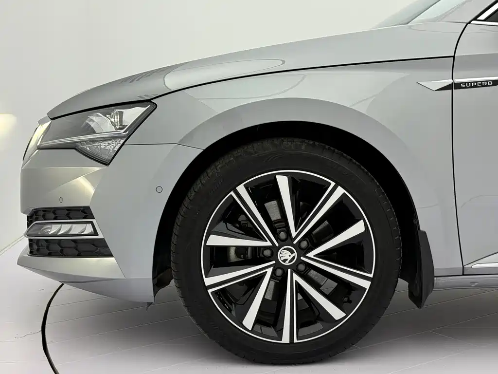 Skoda Speedy 2024 — фото 21