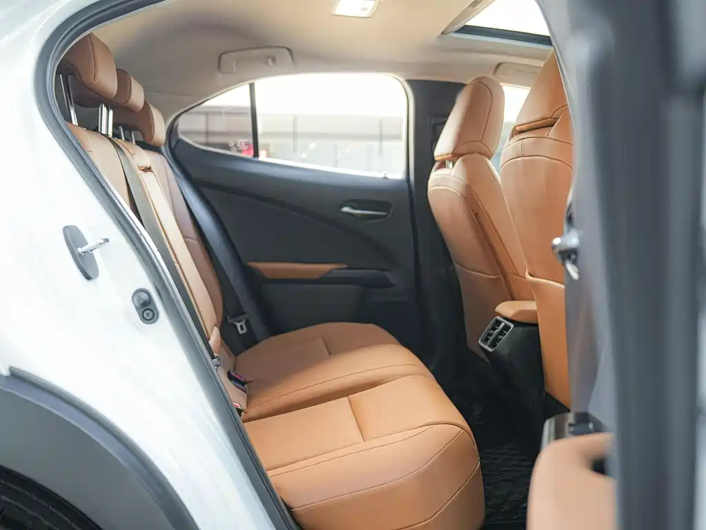 Lexus UX 2021 — фото 14