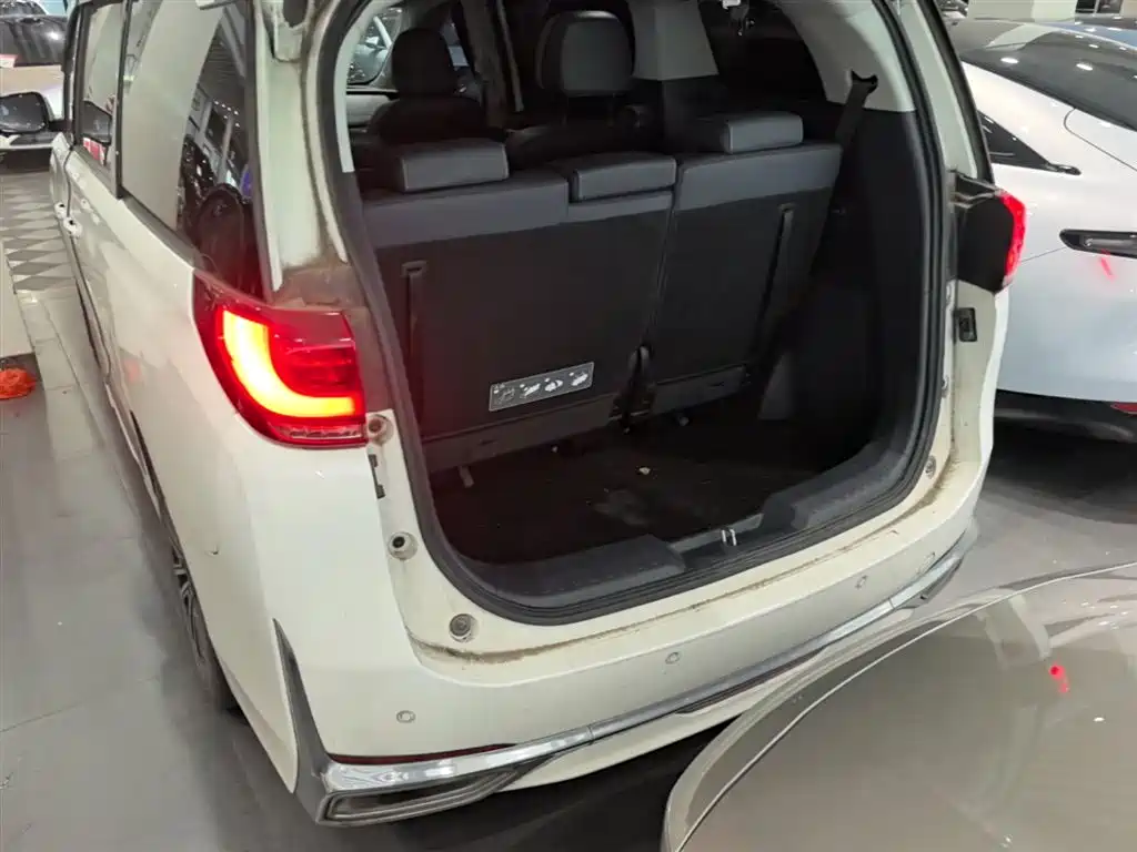 GAC Motor Trumpchi M8 2021 — фото 19