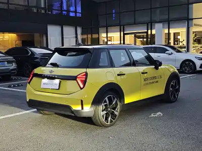 MINI MINI 2025