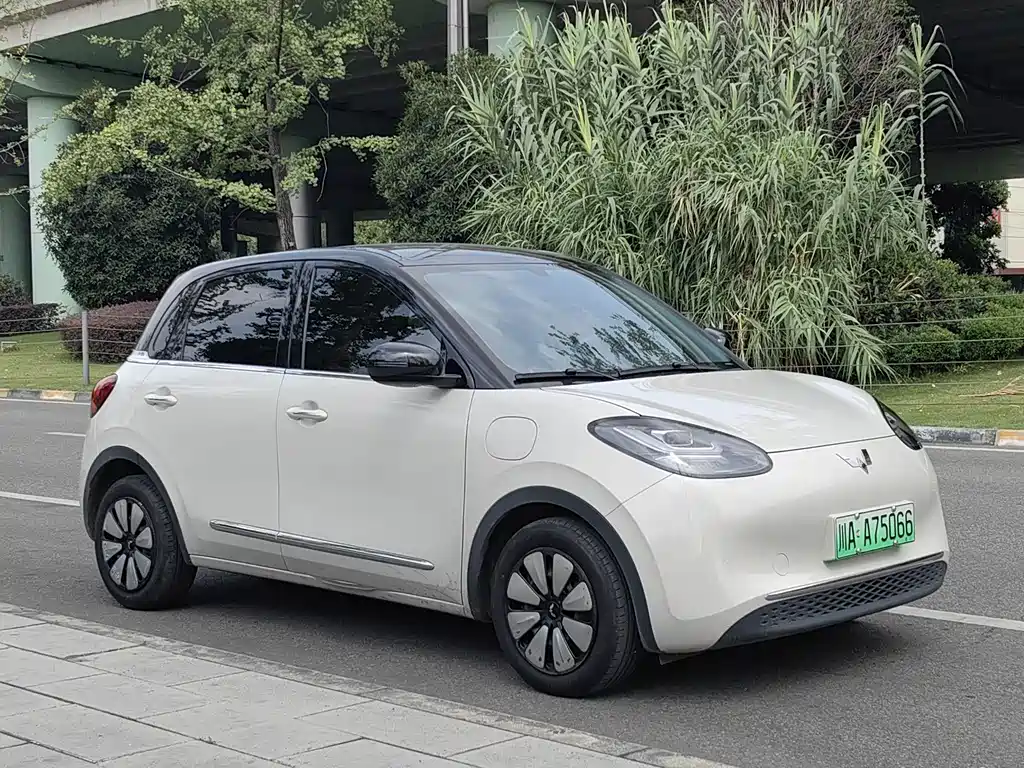 Wuling Bingo 2024