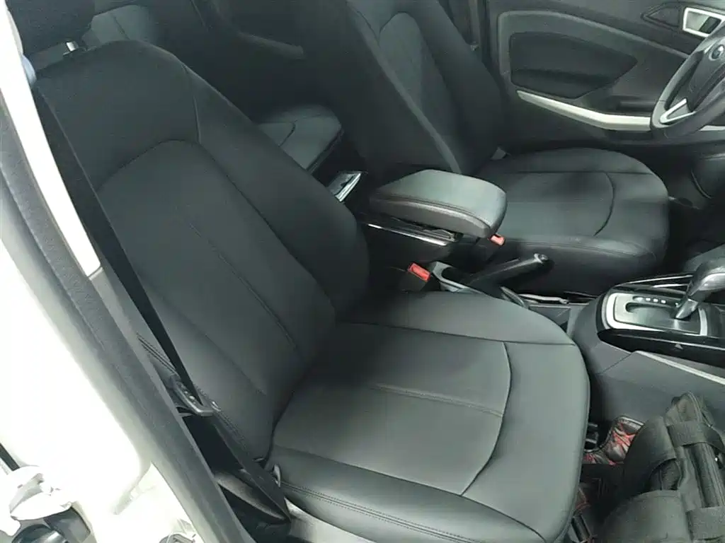 Ford Ecosport 2020 — фото 25