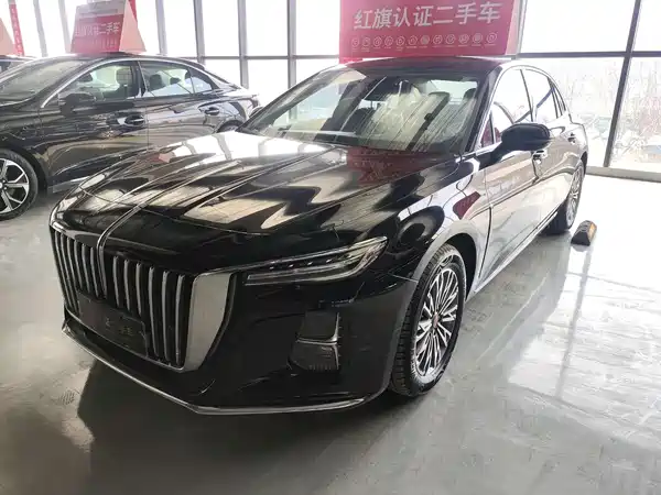 Hongqi H5 2024