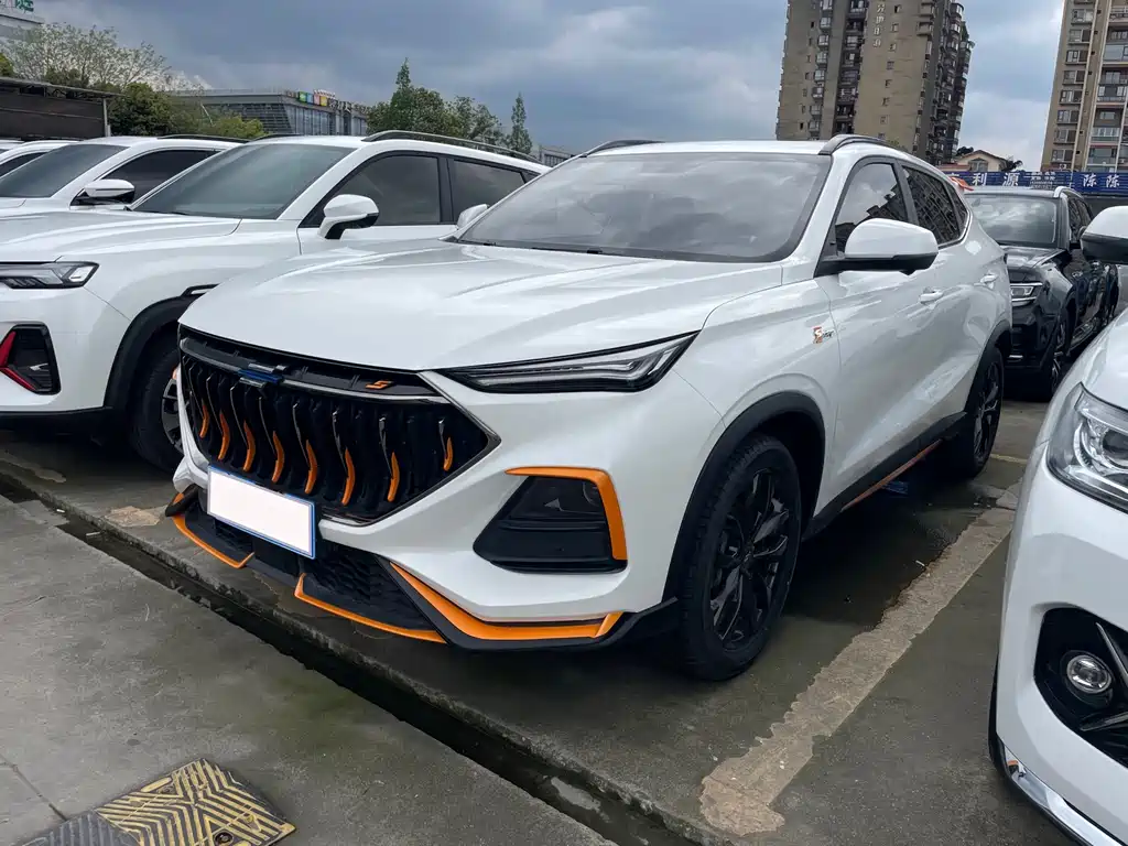 Oshan Oushang X5 2021