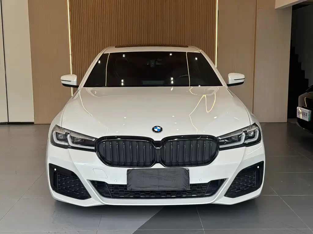 BMW 5 Series 2020