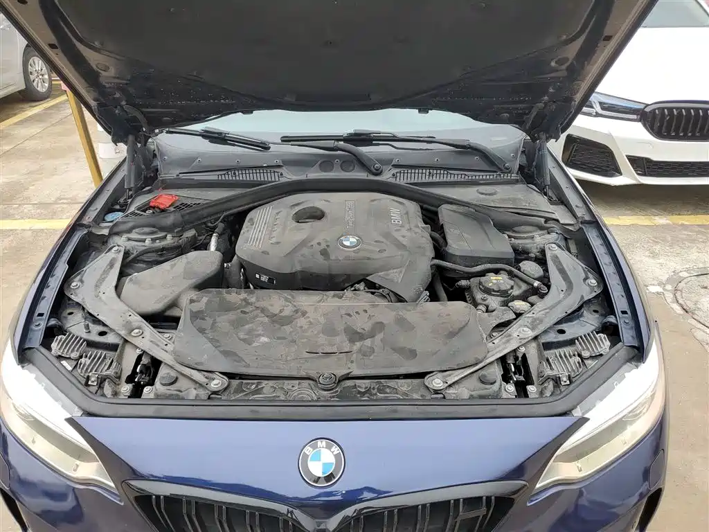 BMW 2 Series 2017 — фото 16
