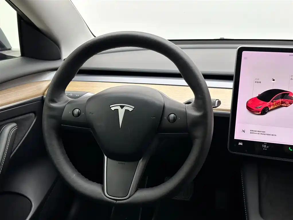 Tesla Model 3 2021 — фото 12