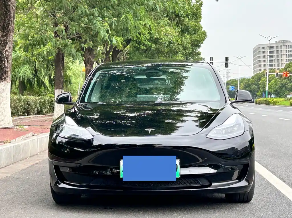 Tesla Model 3 2023 — фото 2