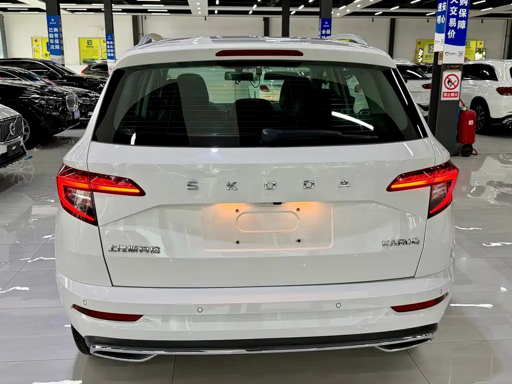 Skoda Karoq 2023 — фото 11