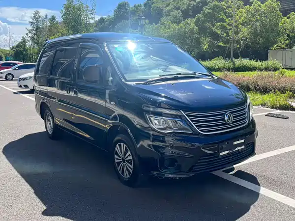 Dongfeng Lingzhi 2020