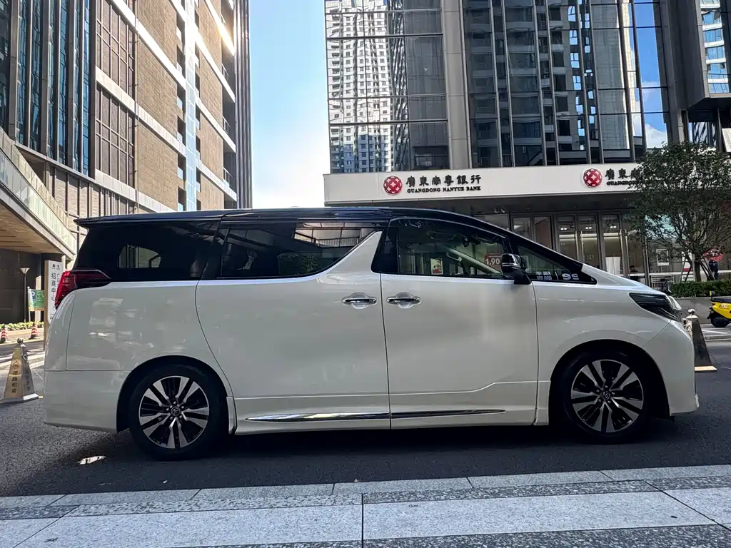 Toyota Alphard 2019 — фото 19
