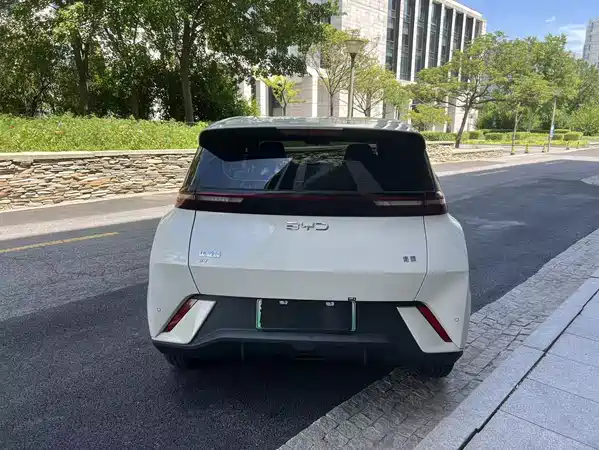 BYD Seagull 2024