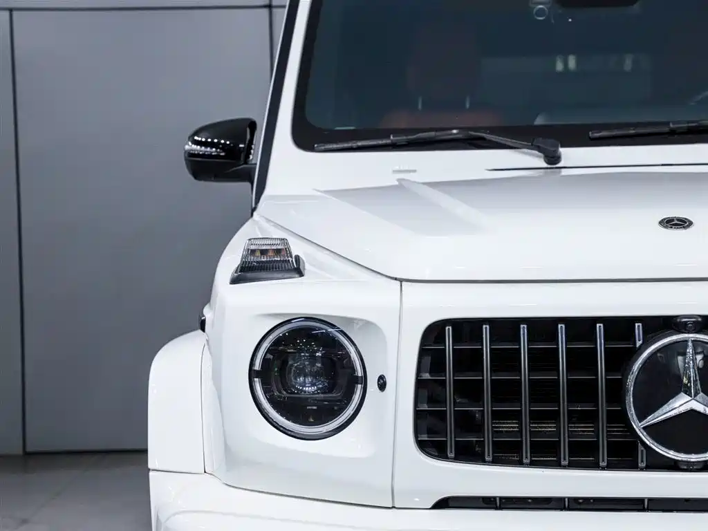 Mercedes-Benz G-Class AMG 2020 — фото 6