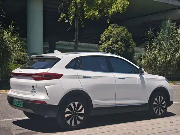 WM Motor EX5 2019