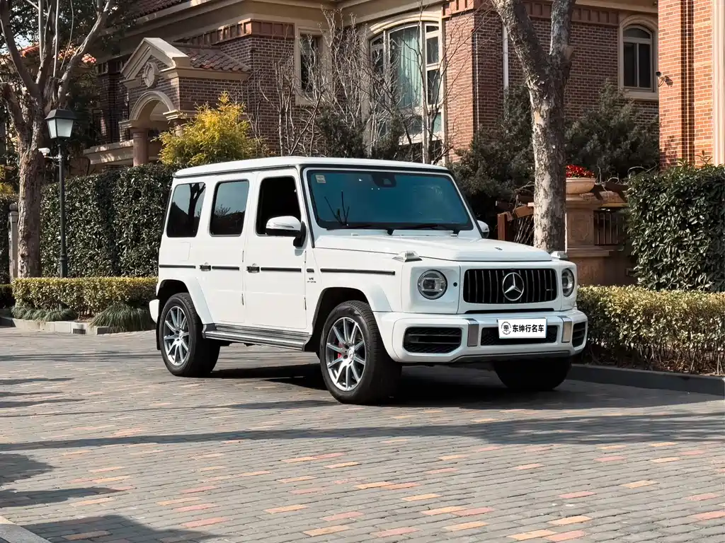 Mercedes-Benz G-Class AMG 2020 — фото 3
