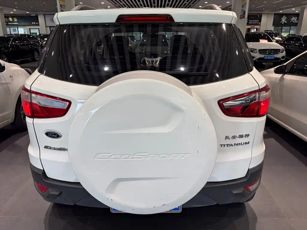 Ford Ecosport 2014 — фото 4