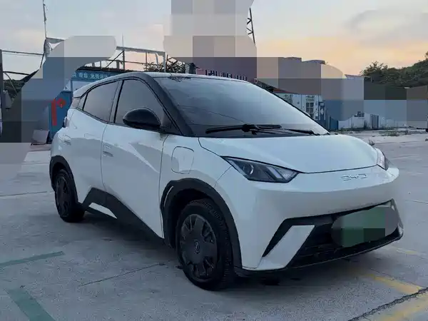 BYD Seagull 2024