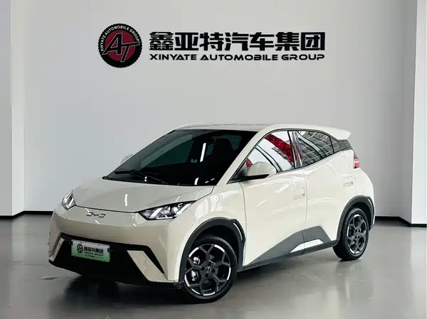 BYD Seagull 2024