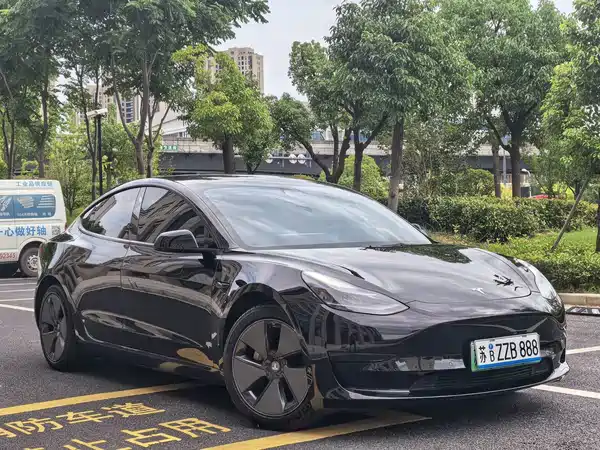 Tesla Model 3 2021