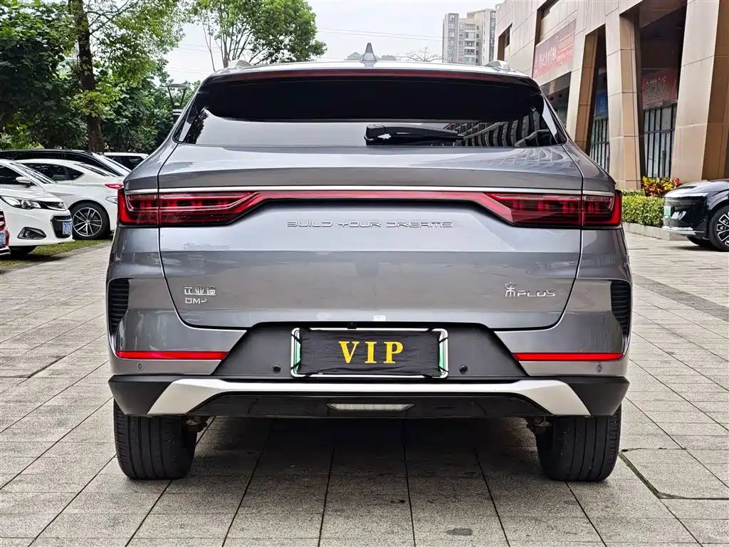 BYD PLUS New Energy 2022 — фото 16