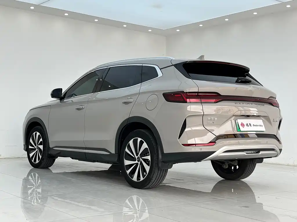 BYD PLUS New Energy 2024 — фото 17