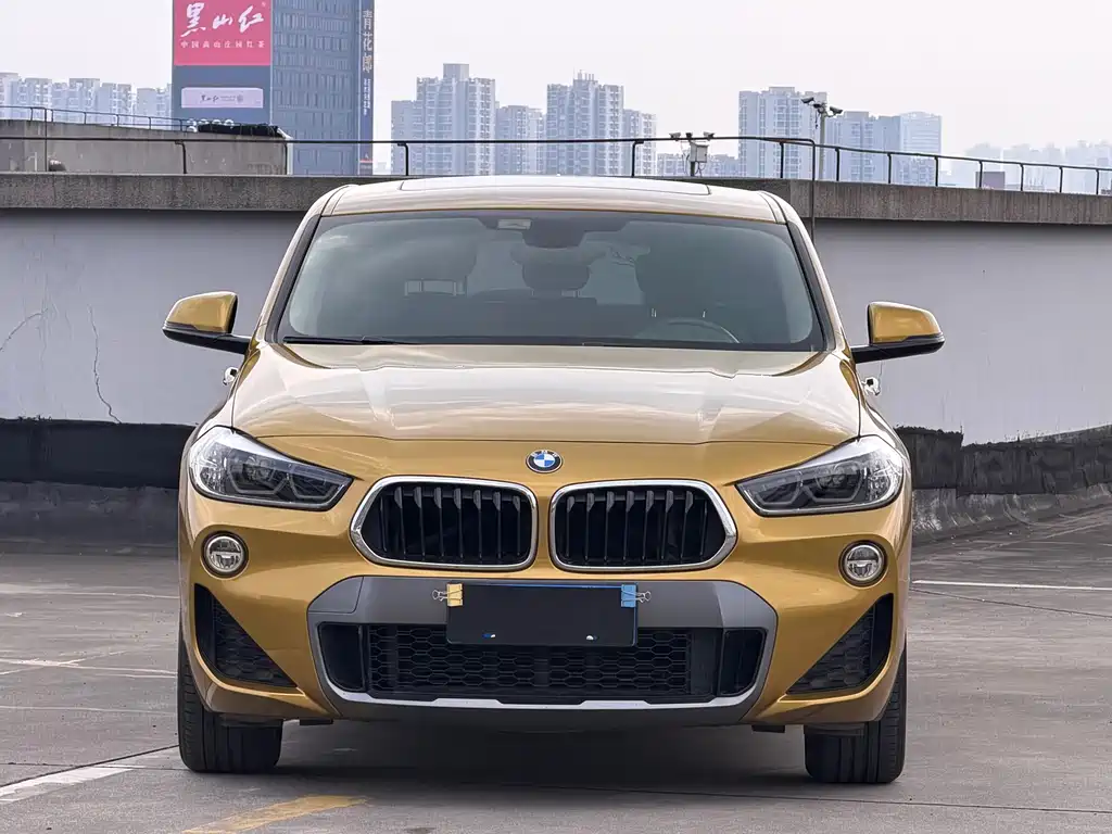 BMW X2 2019 — фото 1