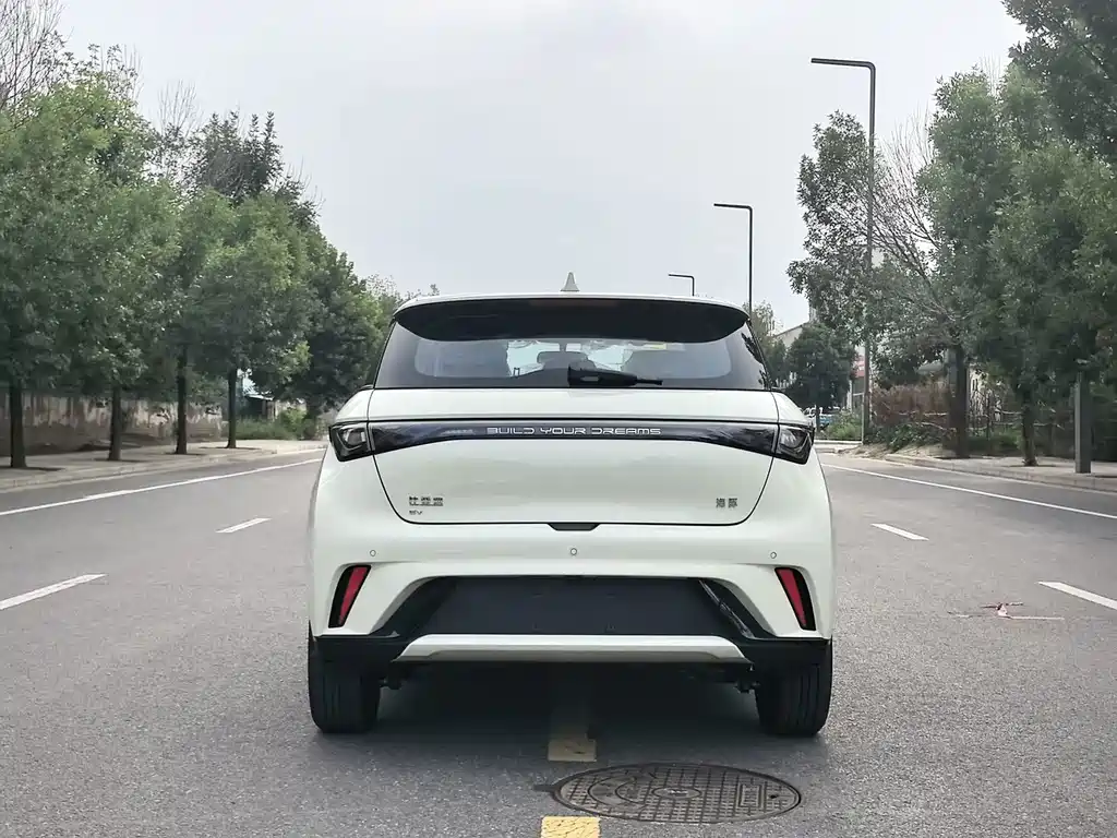 BYD Dolphin 2026