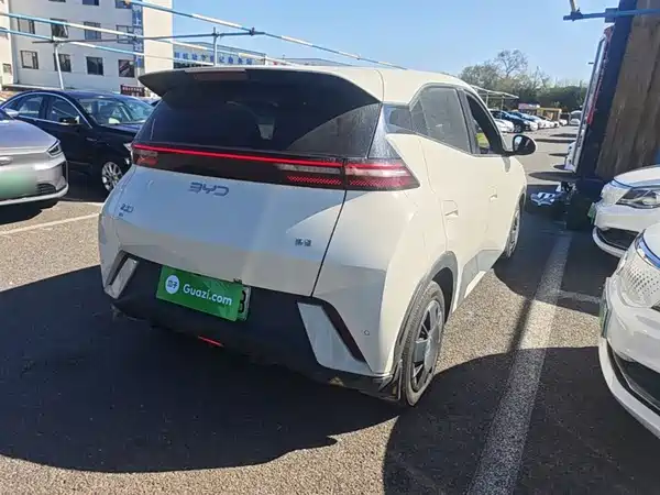 BYD Seagull 2024