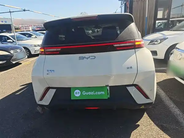 BYD Seagull 2024