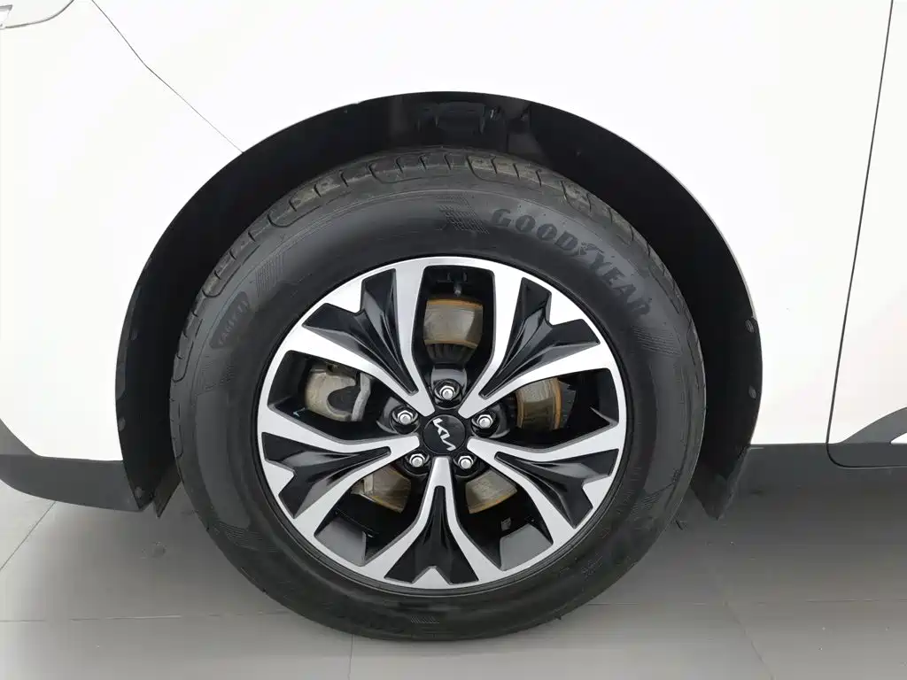 Kia Carnival 2022 — фото 17