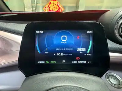 BYD Dolphin 2021