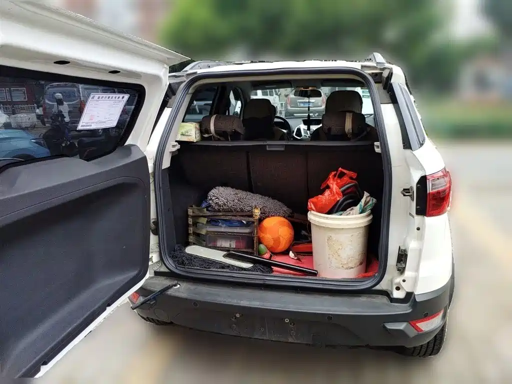 Ford Ecosport 2015 — фото 15
