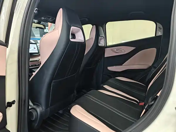 BYD Seagull 2024