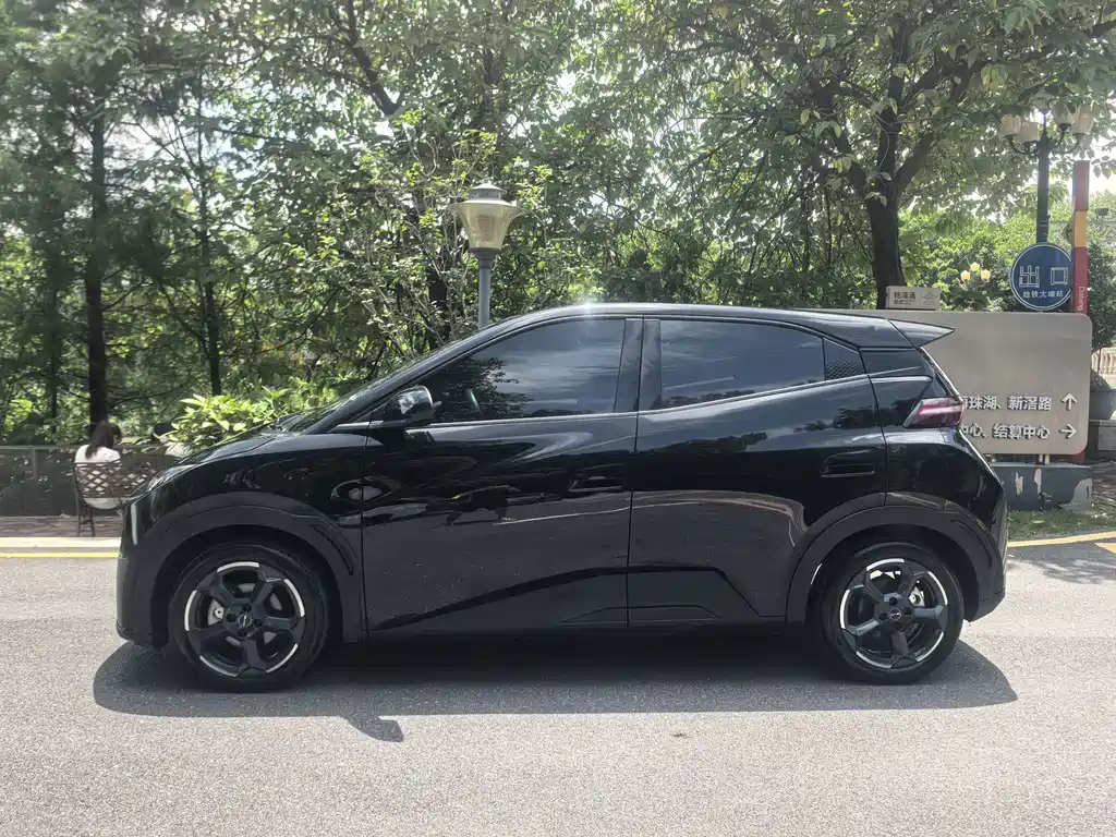 BYD Seagull 2024