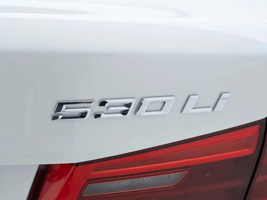 BMW 5 Series 2017 — фото 13