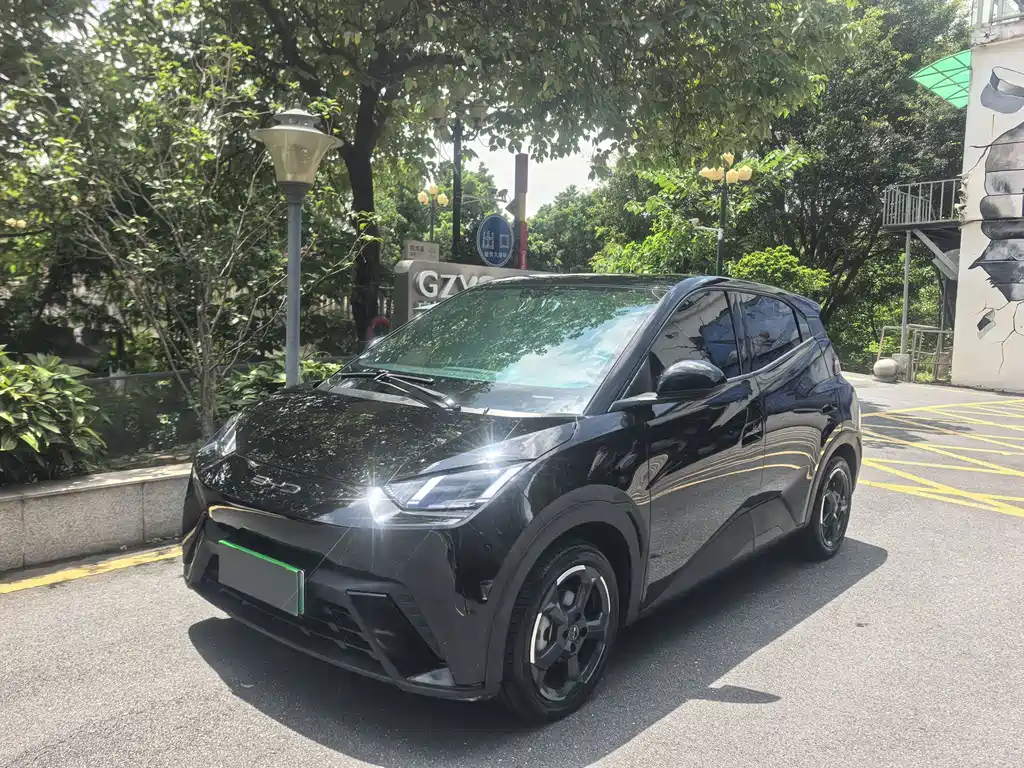 BYD Seagull 2024