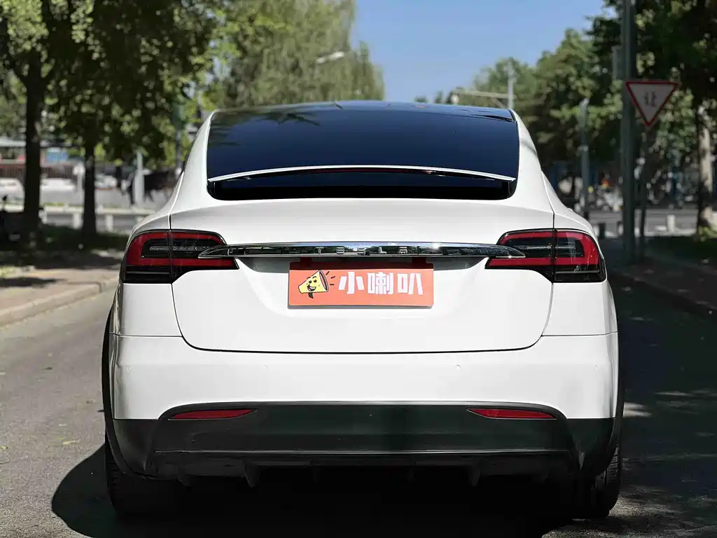 Tesla Model X 2017 — фото 5
