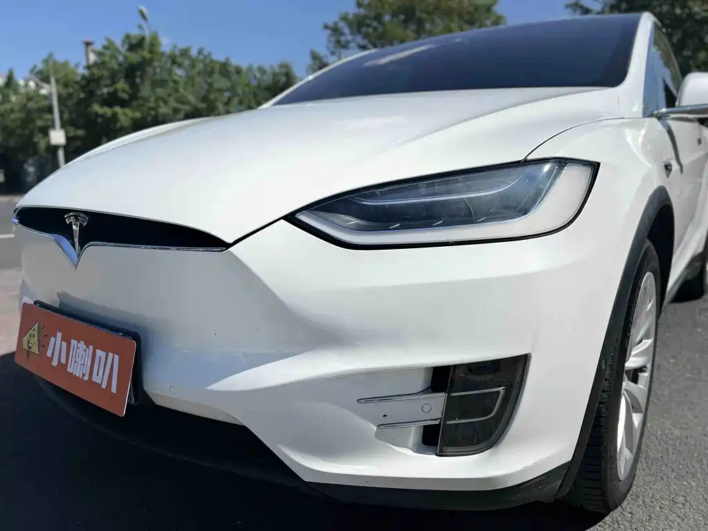 Tesla Model X 2017 — фото 33