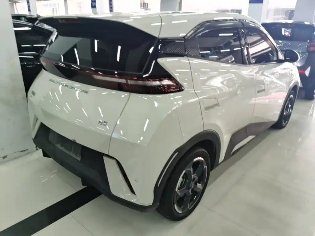 BYD Seagull 2024
