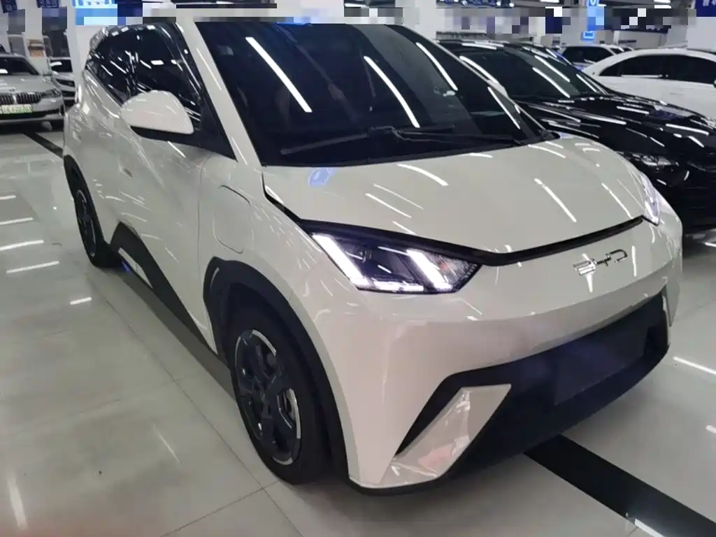 BYD Seagull 2024