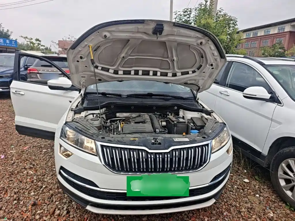 Skoda Karoq 2021 — фото 20
