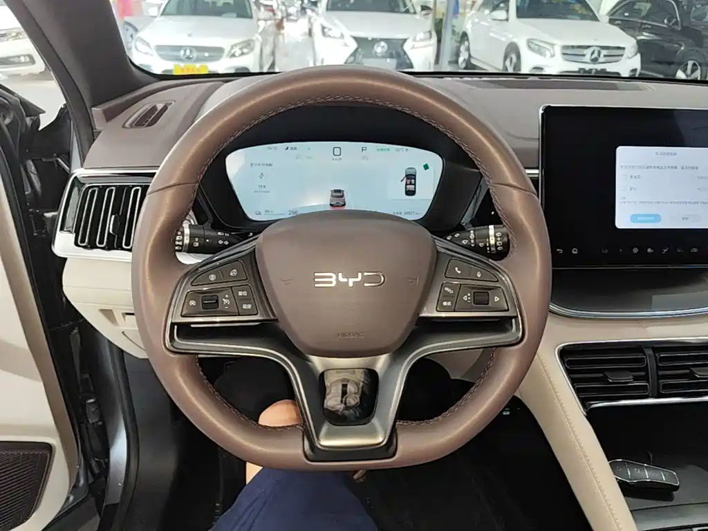 BYD Song PLUS New Energy 2025 — фото 11