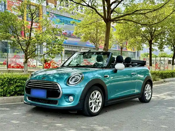 MINI MINI 2019