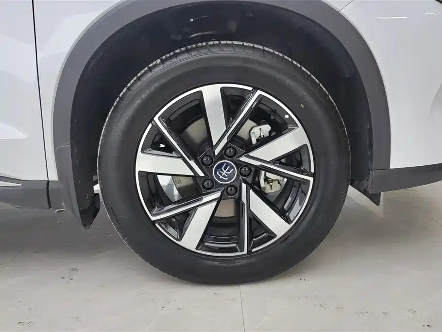 BYD Pro New Energy 2024 — фото 6