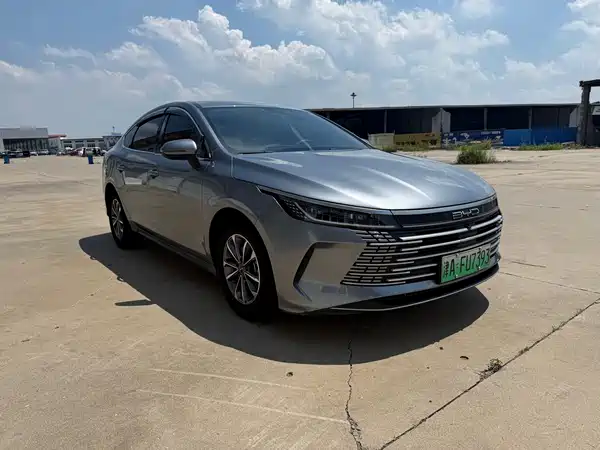 BYD Destroyer 05 2024