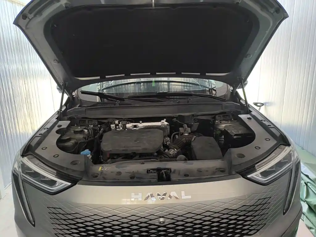 Haval Xiaolong MAX 2023 — фото 20