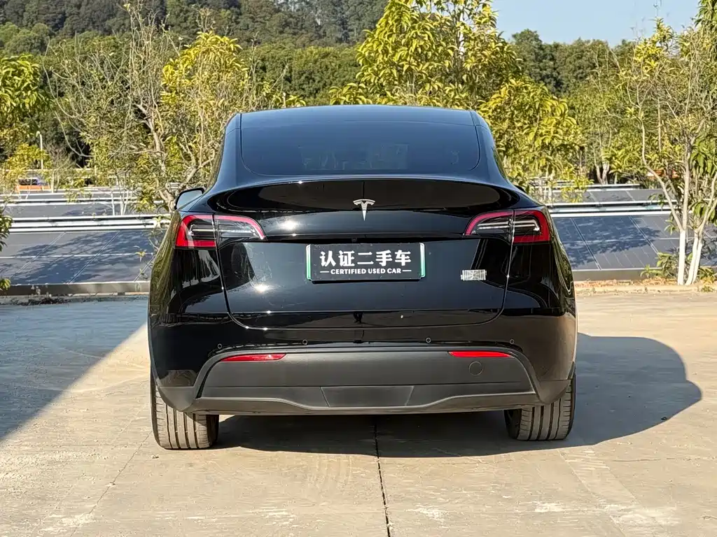 Tesla Model Y 2021 — фото 11