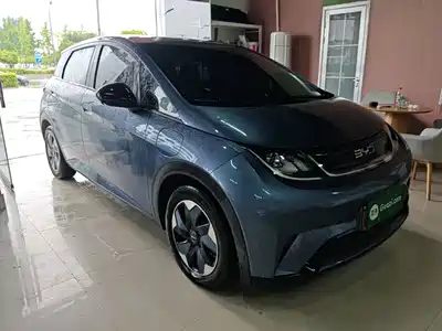 BYD Dolphin 2024